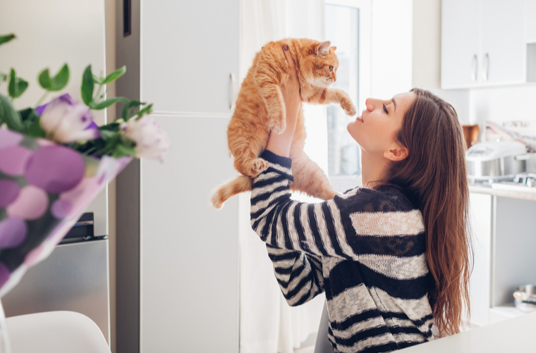 6 beneficios de tener un gato para tu salud mental