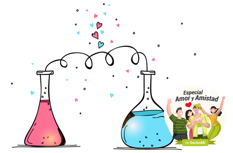 La química del amor: ¿qué sucede al enamorarse?