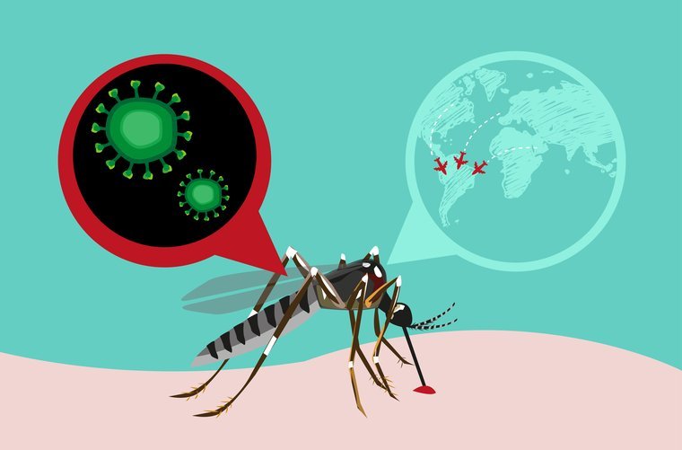 ¡Cuidado con el Zika!