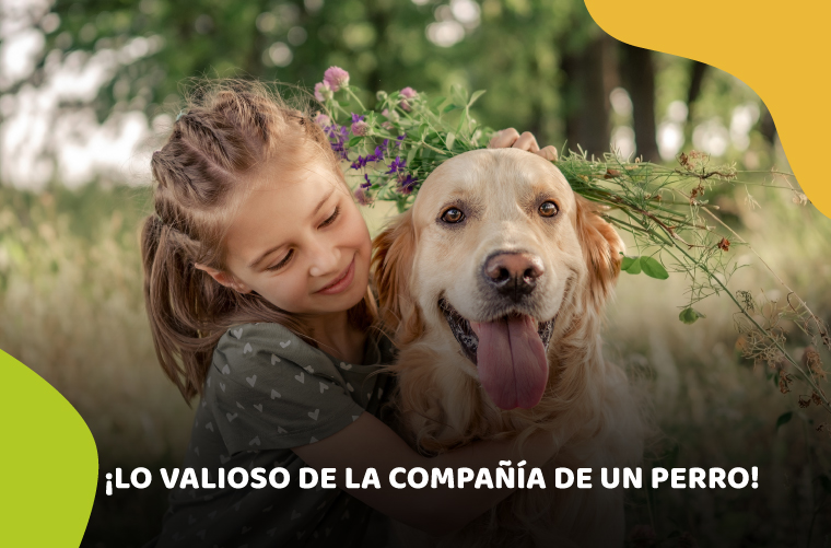 Guau, guau… 5 beneficios de tener un perro para tu salud